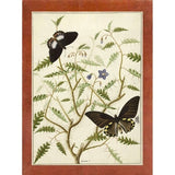 Flowers Twenty-VINAPP130728 Framed Print 20"x14.5" by Vintage Apple Collection