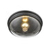 Millennium Lighting 1 Light Metal Flush Mount Ceiling With Clear Seeded Glass Shades