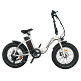 Folding Electric Bike With 36V/13Ah Li-Battery Beach Snow Bicycle