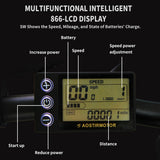 Folding Electric Bike With 36V/13Ah Li-Battery Beach Snow Bicycle