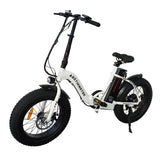 Folding Electric Bike With 36V/13Ah Li-Battery Beach Snow Bicycle