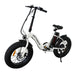 Folding Electric Bike With 36V/13Ah Li-Battery Beach Snow Bicycle