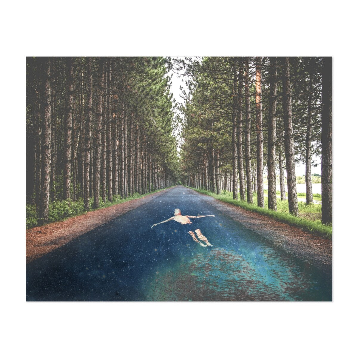 Forest River Collage Abstract Space Astronomy Art Print/Poster