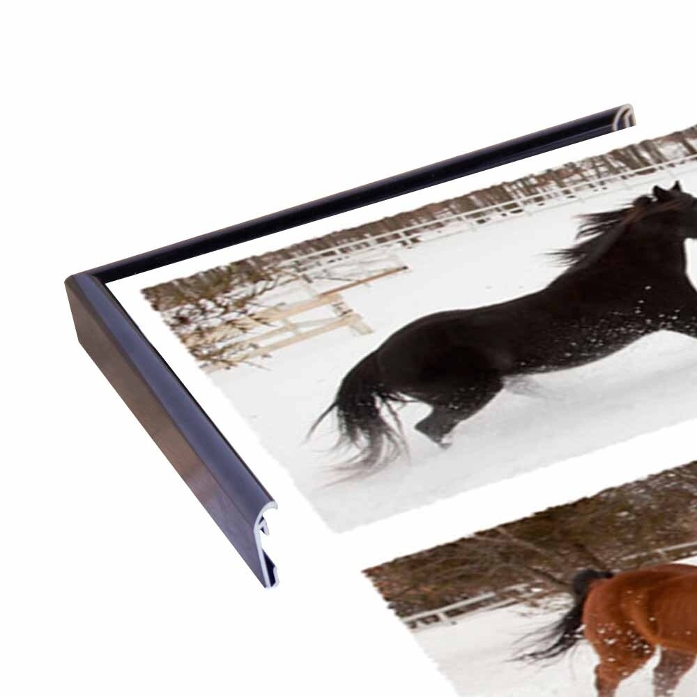 Four Horses in Winter-MONNAG103344 Print 20"x27" by Monte Nagler