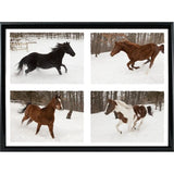 Four Horses in Winter-MONNAG103344 Print 20"x27" by Monte Nagler