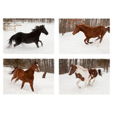 Four Horses in Winter-MONNAG103344 Print 20"x27" by Monte Nagler