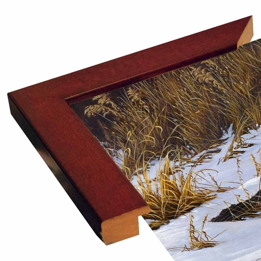 Fox Trot - Red Fox-WILGOE2766 Framed Print 23"x44" by Wilhelm Goebel