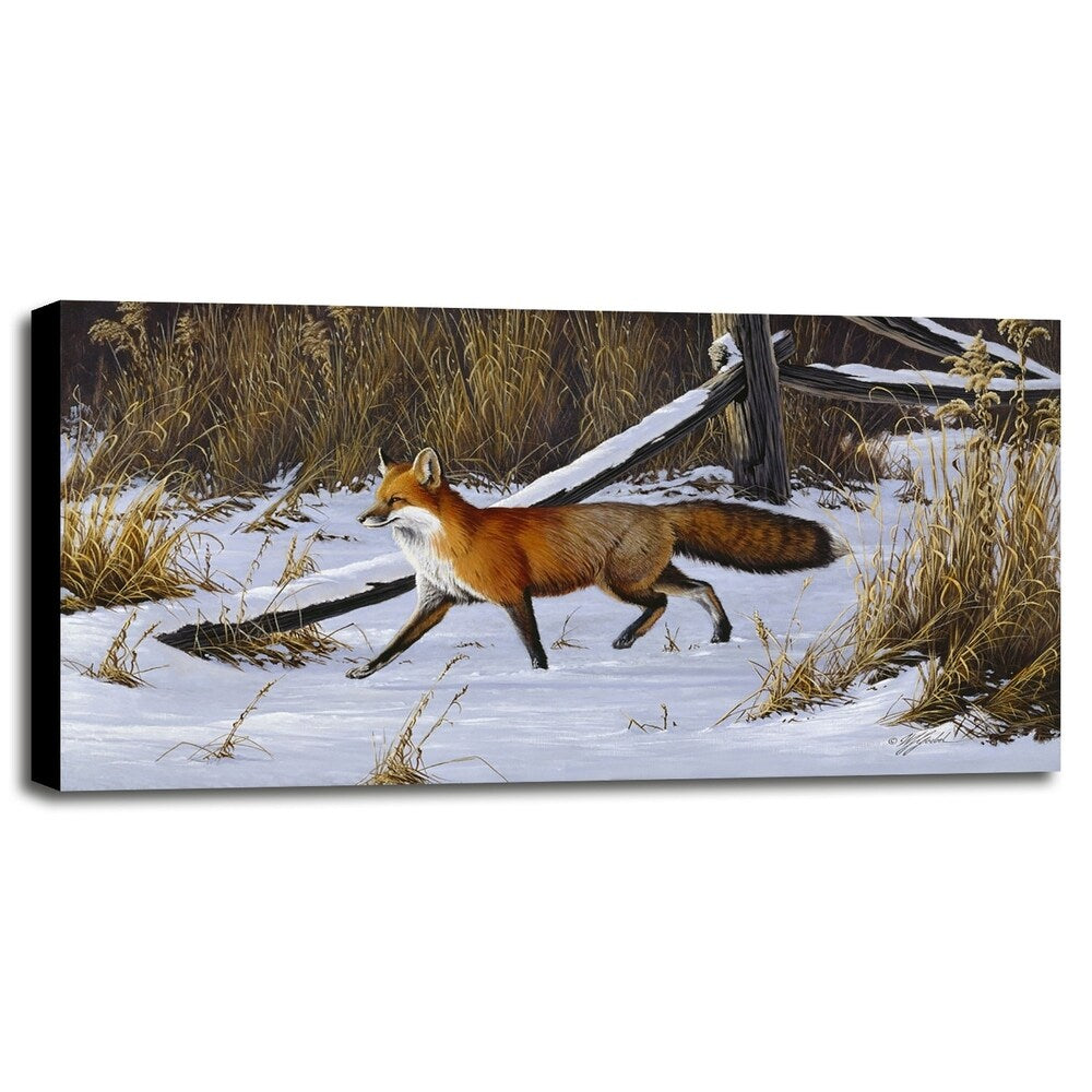 Fox Trot - Red Fox-WILGOE2766 Framed Print 23"x44" by Wilhelm Goebel
