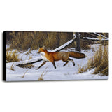 Fox Trot - Red Fox-WILGOE2766 Framed Print 23"x44" by Wilhelm Goebel