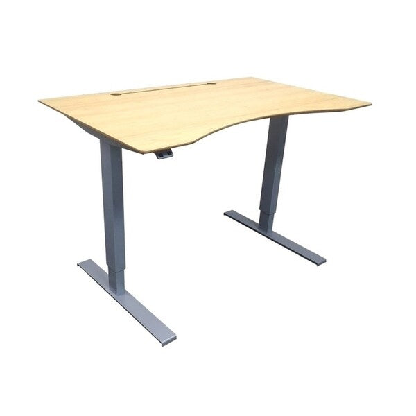 Frasch 48" x 30" Commercial Grade Electric Adjustable Height Sit-Stand desk with Sturdy Base and Light Bamboo Tabletop