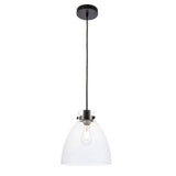 Frey 1 light Black and Clear glass pendant - One Size