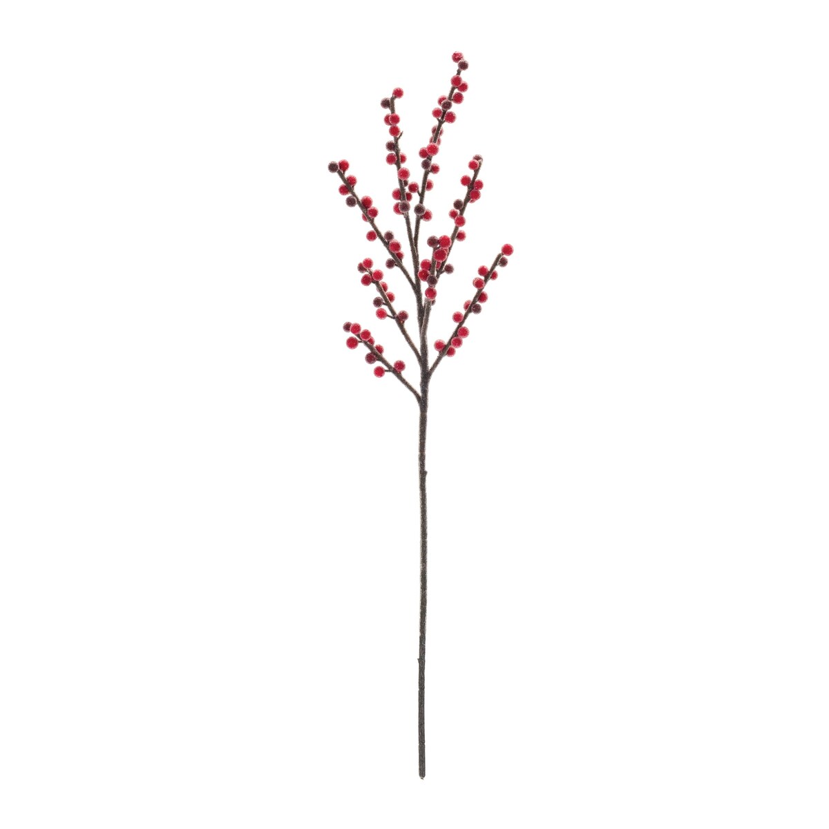 Frosted Berry Spray (Set of 6) - Red