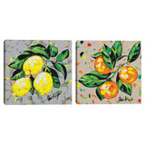 Fruit Sketch Lemons, Fruit Sketch Oranges by Jodi Augustine Canvas Art Prints