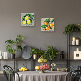 Fruit Sketch Lemons, Fruit Sketch Oranges by Jodi Augustine Canvas Art Prints