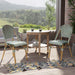 Irene French Chevron Wicker Patio Dining Chairs by Furniture of America
