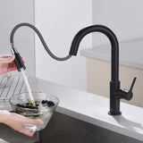 Fusion Single Handle Pull Down Kitchen & Bar Sink Faucet with Soap Dispenser