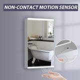 GIVINGTREE Medicine Cabinet Mirrors with 2 Adjustable Shelves (Hinge on the left to Open) Surface-mounted LED lights - N/A