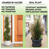 GTR4632-NATURAL-2 3-foot Artificial Cypress Spiral Topiary Tree in Pot (Set of 2)