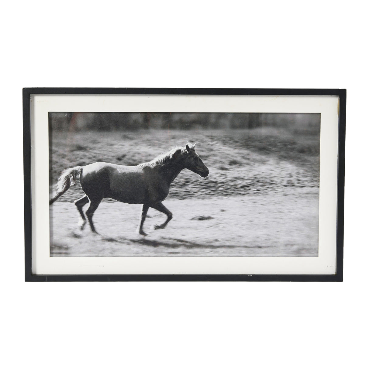 Galloping Horse Print with Wood Frame - Black