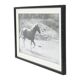 Galloping Horse Print with Wood Frame - Black