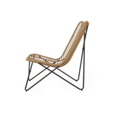 Galtin Outdoor Wicker and Iron Accent Chairs (Set of 2) by Christopher Knight Home