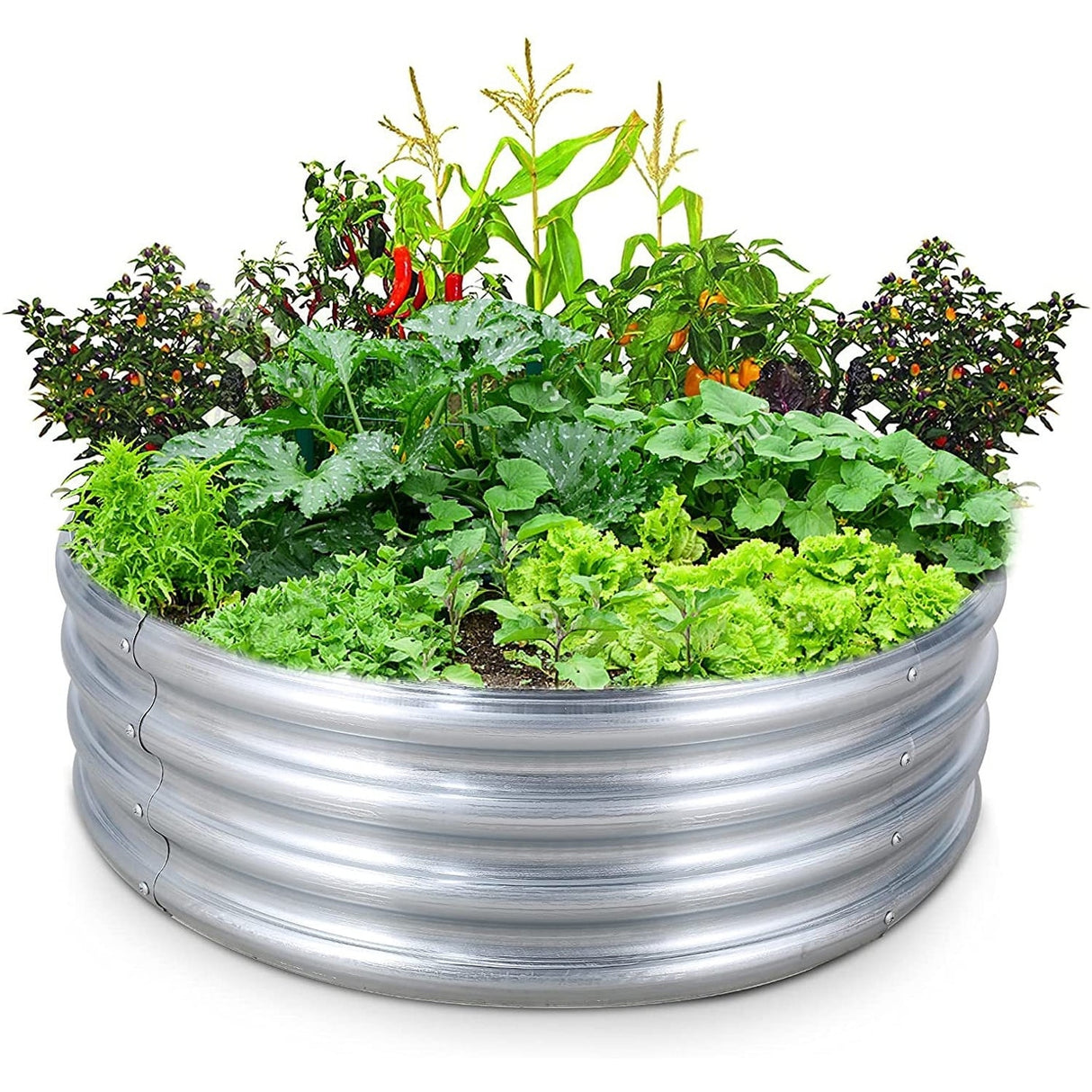 Round Galvanized Steel Raised Garden Bed Planter, Open Bottom