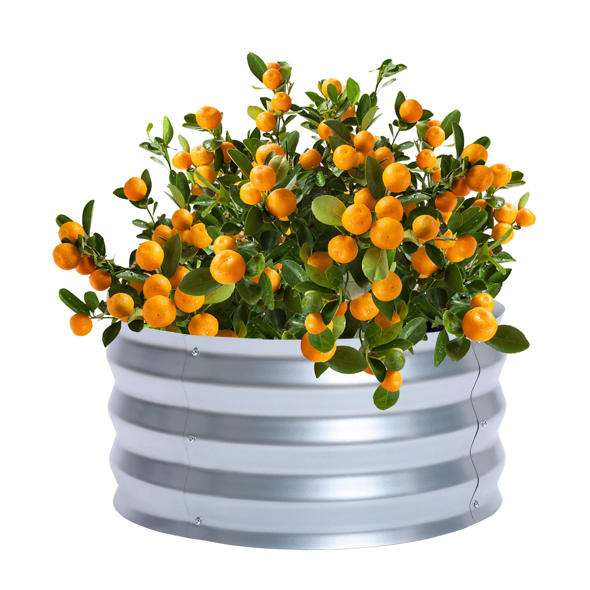 Round Galvanized Steel Raised Garden Bed Planter, Open Bottom