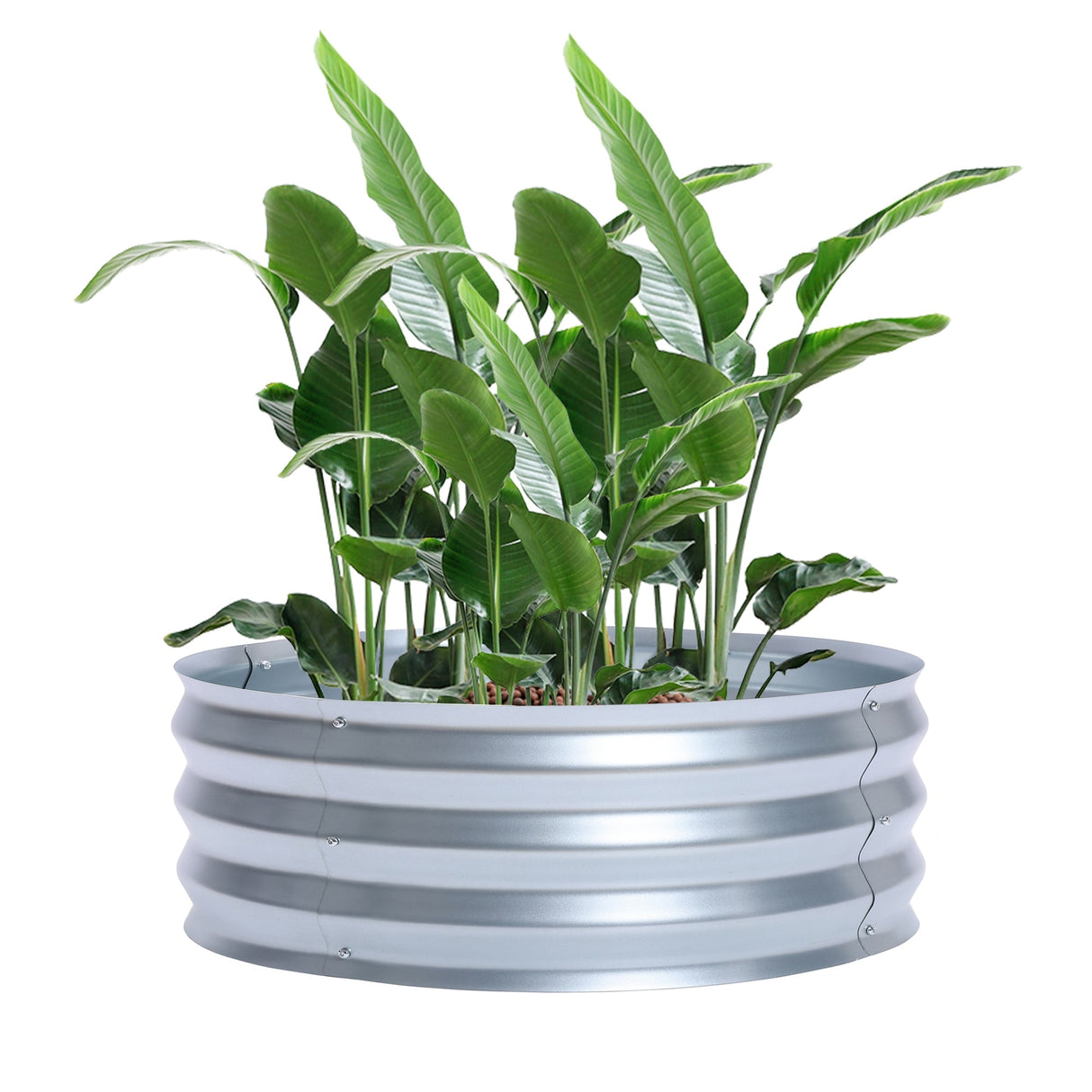 Round Galvanized Steel Raised Garden Bed Planter, Open Bottom