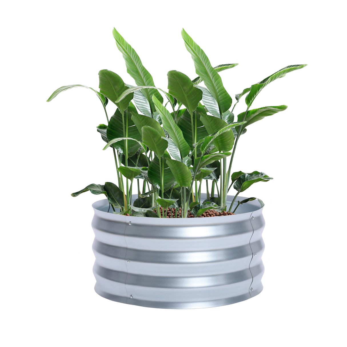 Round Galvanized Steel Raised Garden Bed Planter, Open Bottom