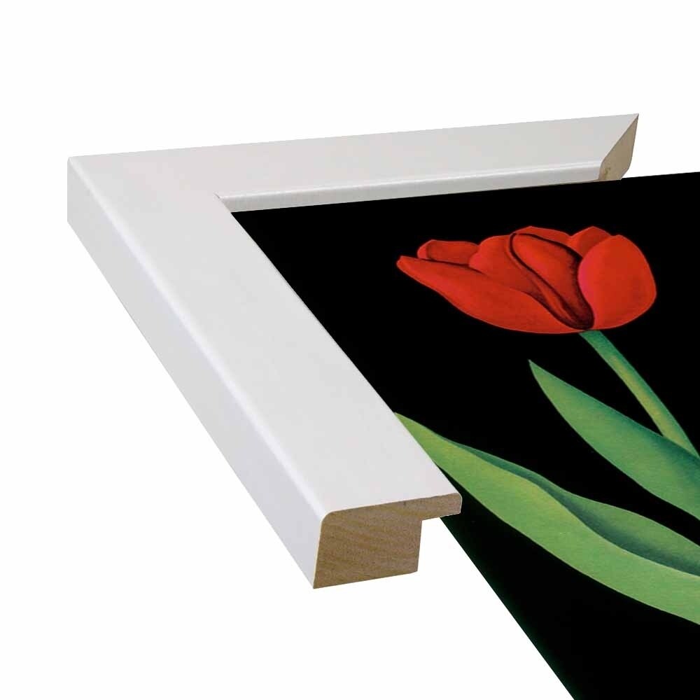 Garden Tulip-VINAPP122893 Framed Print 24"x18.75" by Vintage Apple Collection