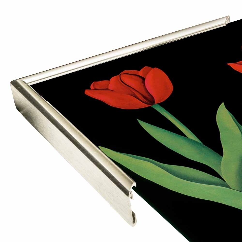 Garden Tulip-VINAPP122893 Framed Print 24"x18.75" by Vintage Apple Collection