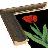 Garden Tulip-VINAPP122893 Framed Print 24"x18.75" by Vintage Apple Collection