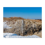 Gateway National Rec Area Middletown Township Plant Art Print/Poster