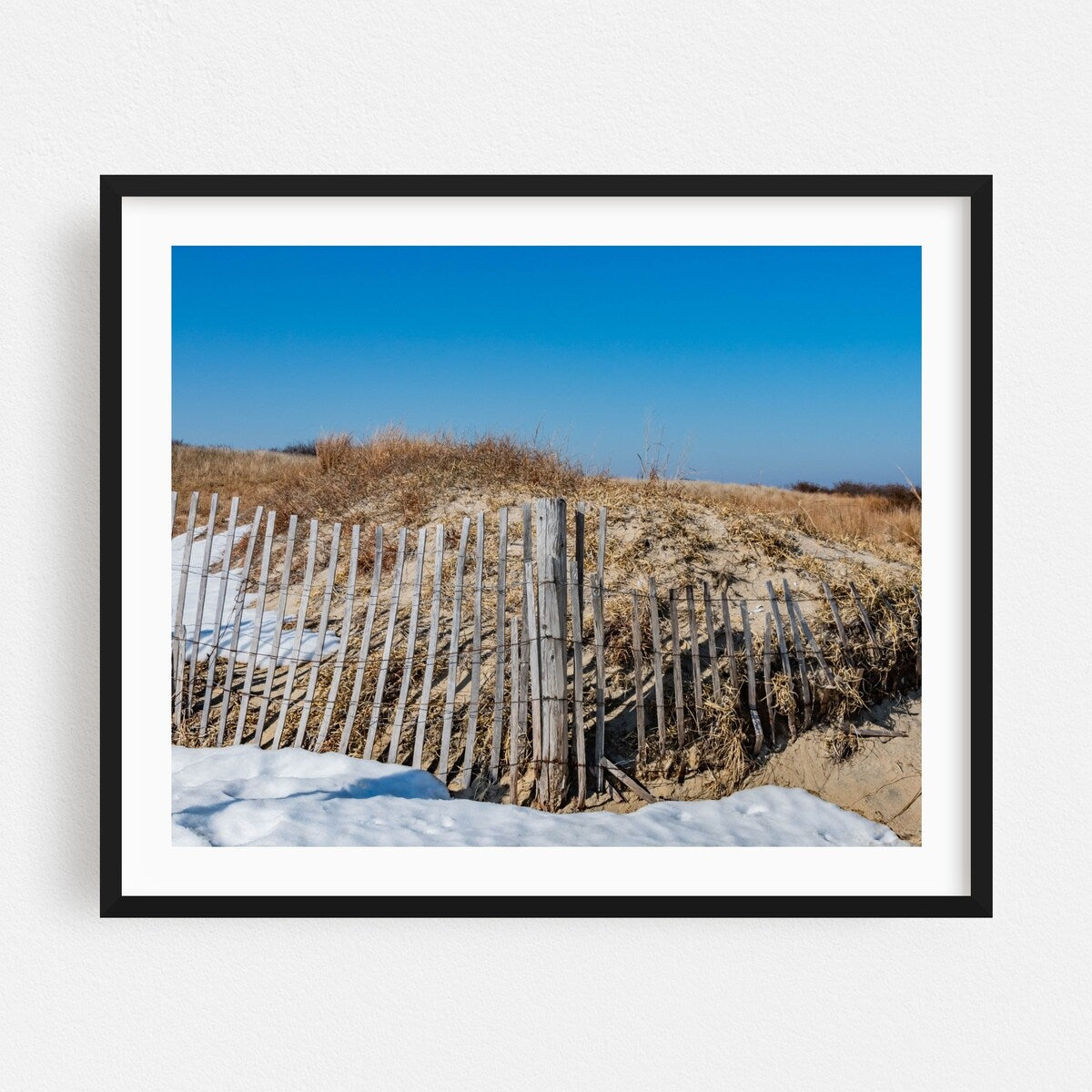 Gateway National Rec Area Middletown Township Plant Art Print/Poster