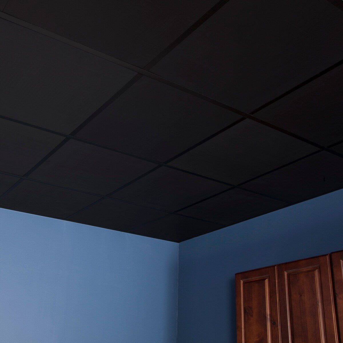 Genesis Black Smooth Pro 2 x 2 ft. Lay-in Ceiling Tiles