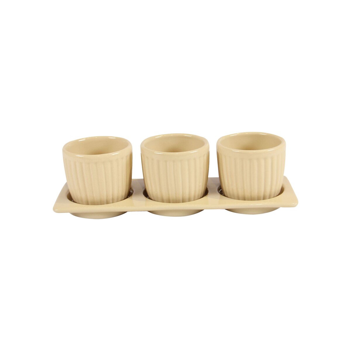 Gerbera Ceramic Planter Set with Disk
