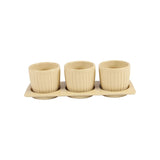 Gerbera Ceramic Planter Set with Disk
