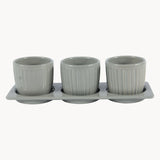 Gerbera Ceramic Planter Set with Disk