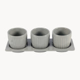 Gerbera Ceramic Planter Set with Disk