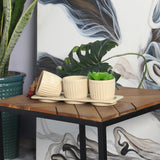 Gerbera Ceramic Planter Set with Disk