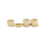 Gerbera Ceramic Planter Set with Disk
