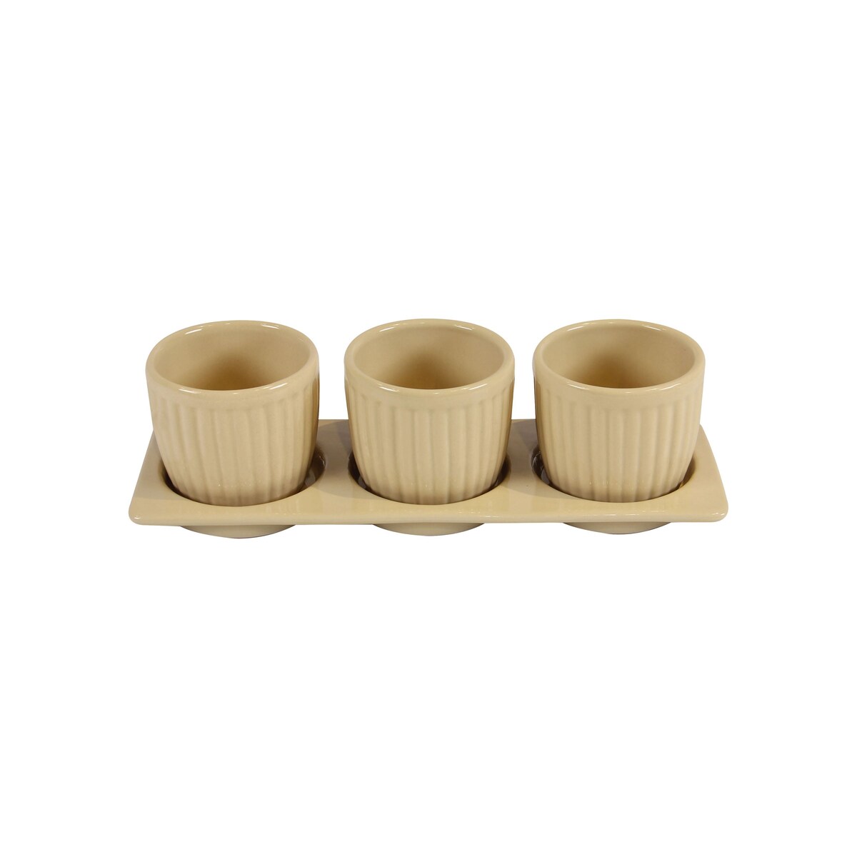 Gerbera Ceramic Planter Set with Disk