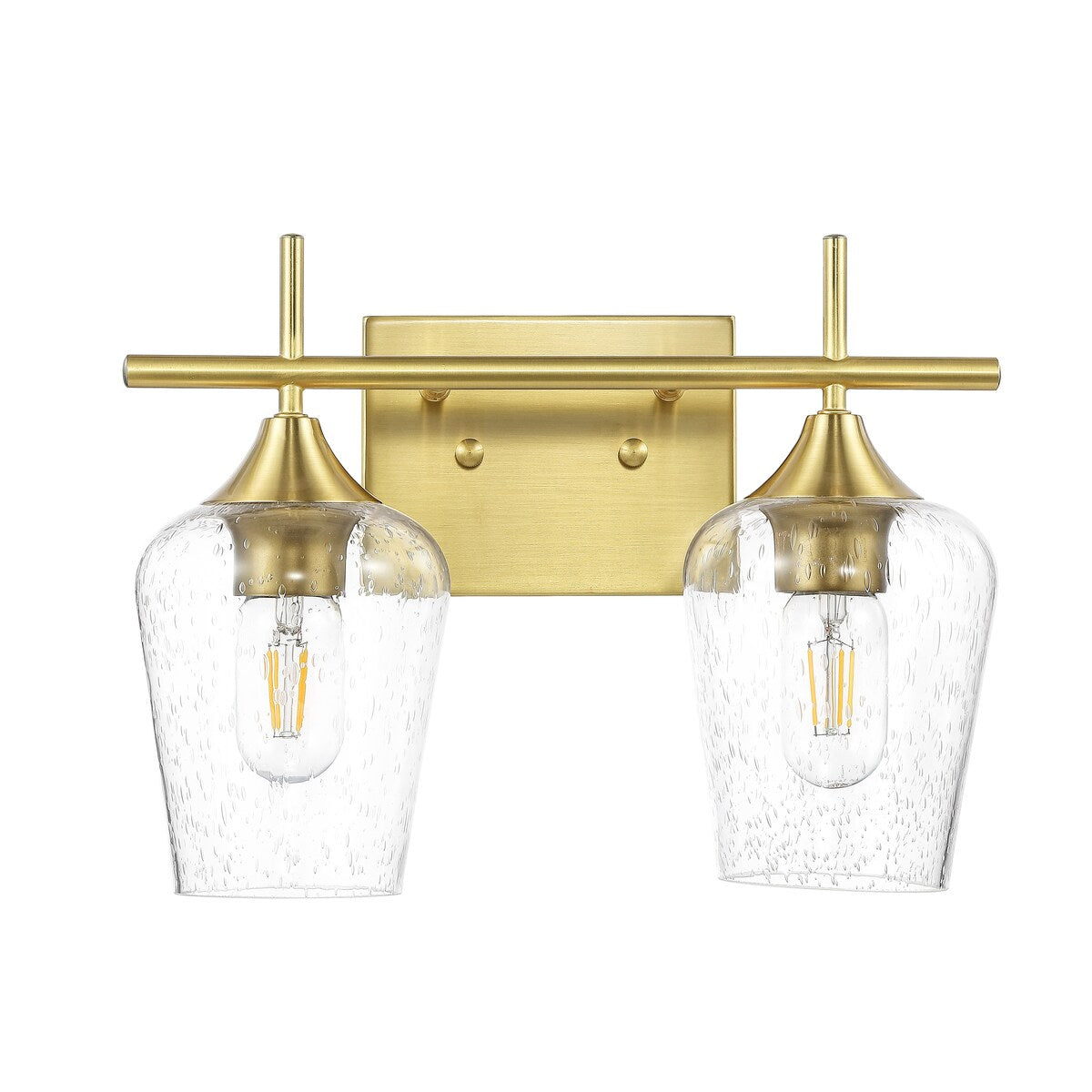 GetLedel 2-Light Vanity Light Sconce with Seeded Glass Shades