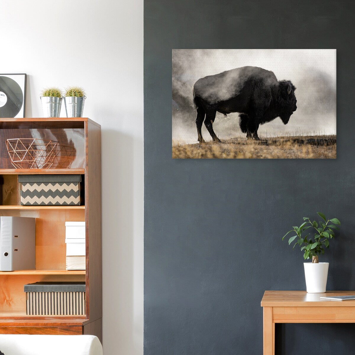 Geyer Basin by Danita Delimont Canvas Art Print