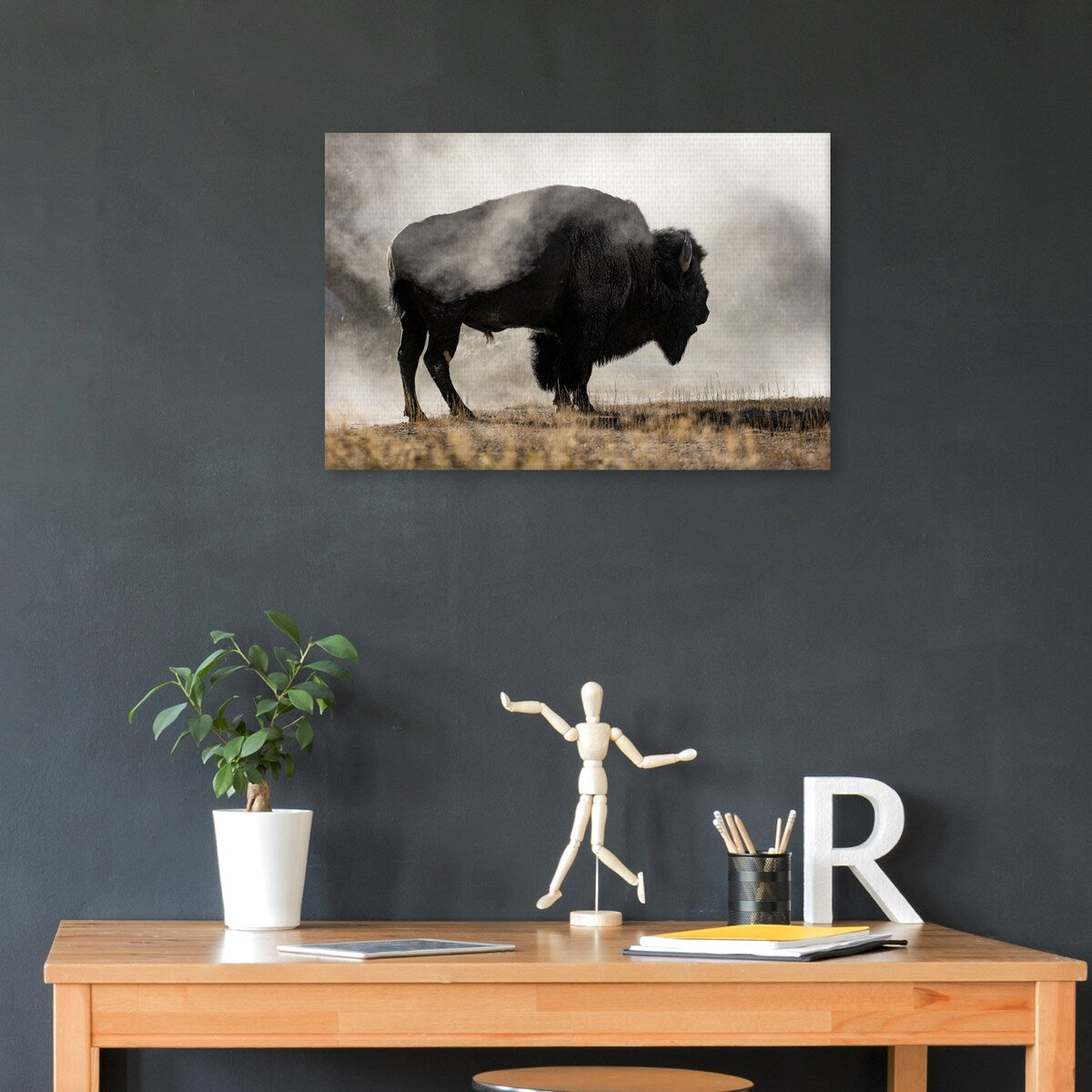 Geyer Basin by Danita Delimont Canvas Art Print