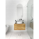 Glass Warehouse 40 in. H x 16 in. W Pill Shape Stainless Steel Framed Mirror - N/A