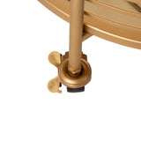 Glitzhome Metallic Gold 2-Tier Serving Bar Cart with Mirrored Glass