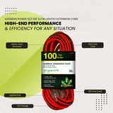 GoGreen Power GG-14000 12/3 100' SJTW Outdoor Extension Cord, Lighted End, 100 Ft - N/A