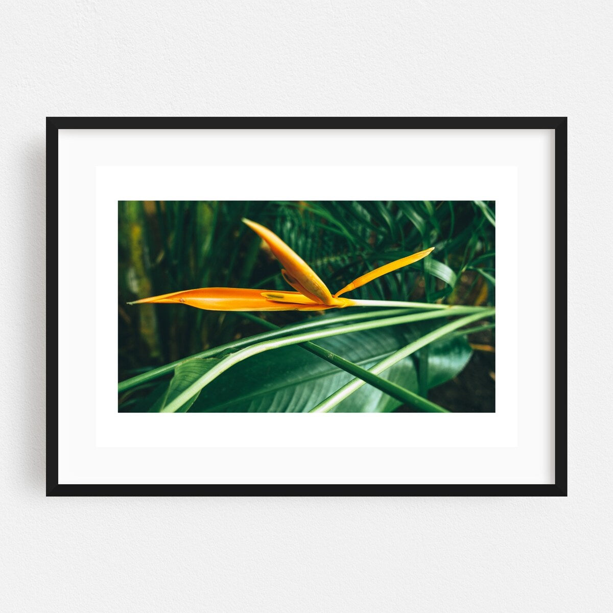 Goa India Daughter Photography Abstract Art Print/Poster