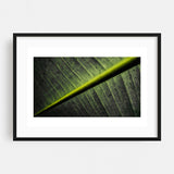 Goa India Green Machine Photography Abstract Art Print/Poster